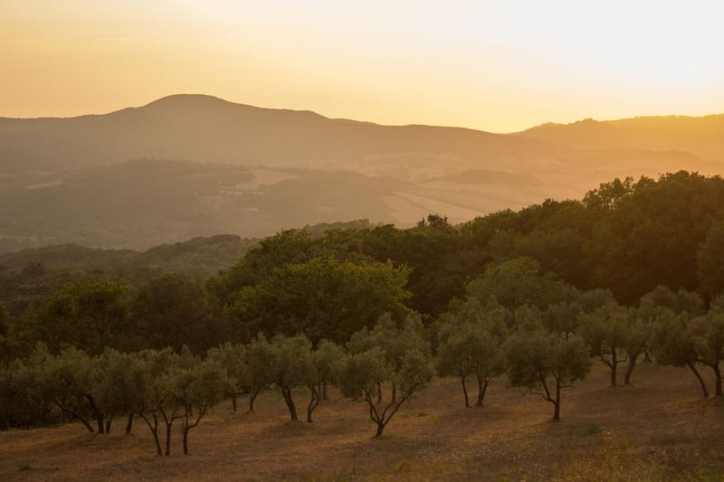 Tuscany Spa